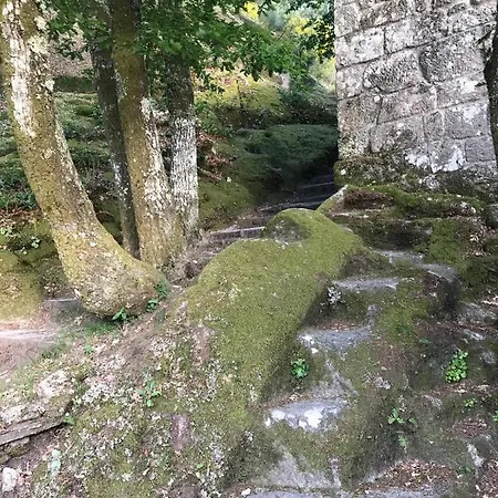 Casina Rustica En Proximidades De La Ribeira Sacra Prázdninový dům