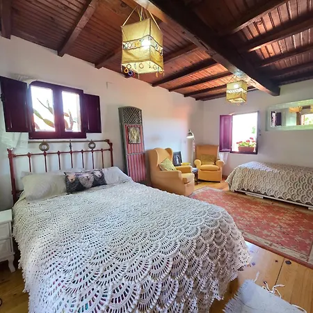 Casina Rustica En Proximidades De La Ribeira Sacra Ourense